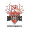 Dindigul Dragons FOR TAMIL NADU PREMIER LEAGUE, 2017