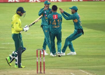 Pakistan wins the third t20 to restore some pride