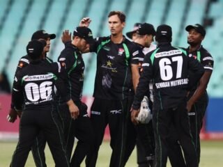 Dolphins lick their wounds ahead of Knights challenge