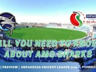 Shpageeza Cricket League All you need to know about Amo Sharks