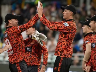 Hermann Lights Up Newlands