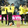 Gloucestershire Clinch 2024 Vitality Blast Title with Dominant Win Over Somerset